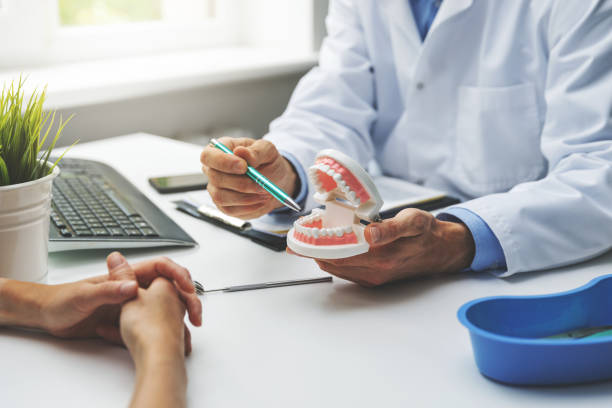 Professional Holistic Dental Care Services in Palm Beach, FL